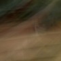 orange red streaks on dark green, 2011 by William Oldacre