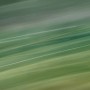 green streaks roadside 2011 by William Oldacre