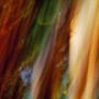 blood red streaks beside pouring white hot yellow streaks, 2012 by William Oldacre