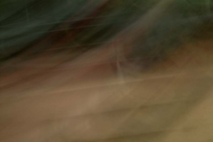 Light Signatures series, day, colour photograph, art, abstract, abstract expressionism, creative, city street, urban, downtown, cityscape, speed, blur, movement, motion, brown, muted, streaks, patterns