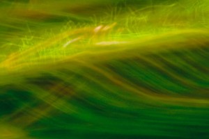 Light Signatures series, day, colour photograph, art, abstract, abstract expressionism, creative, city street, urban, downtown, cityscape, speed, blur, movement, motion, green, yellow, vibrant, waves, figures, dancing, patterns, shapes