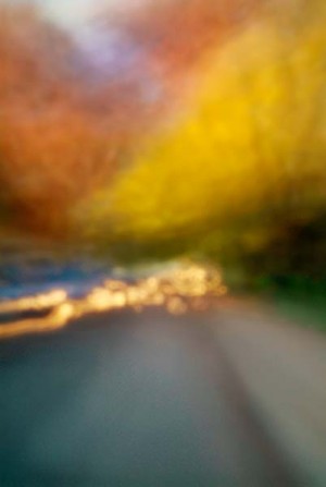 Convergent series, day, colour photograph, art, abstract, abstract expressionism, creative, city street, urban, downtown, cityscape, speed, blur, movement, motion, yellow, orange, muted, cars, trees